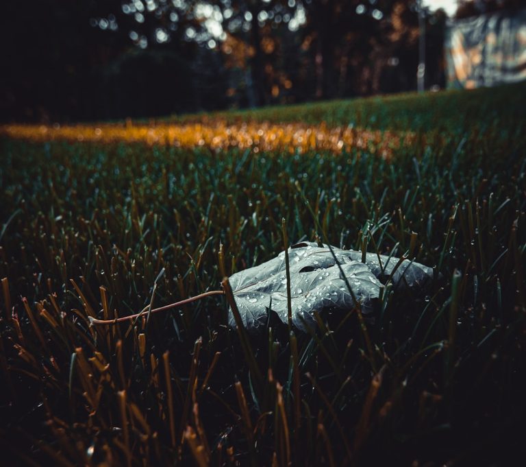 Transform Your Yard: The Art and Science of Lawn Maintenance